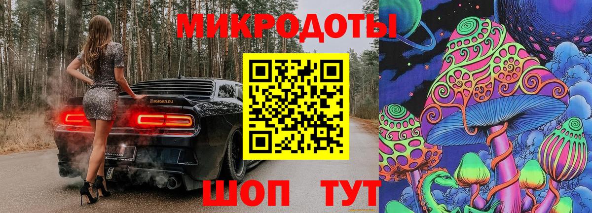 Галлюциногенные грибы Psilocybe Фролово